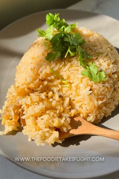 rice and parsley on a white plate with a wooden spoon