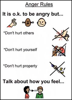 an image of anger rules for people to use in their own life storybooks