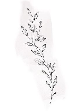 Italian Ruscus Tattoo, Wrist Wrap Tattoo Stencil, Delicate Leaf Tattoo, Leaf Wrap Around Tattoo Arm Stencil, Leaf Vine Tattoo Stencil, Simple Vine Tattoo Arm, Long Leaf Tattoo, Leave Vine Tattoo, Vine Tattoo Outline