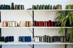 the shelves are filled with many different colored spools of thread and some plants