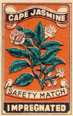 an orange stamp with green leaves and flowers on it, says cape jasmine safety match