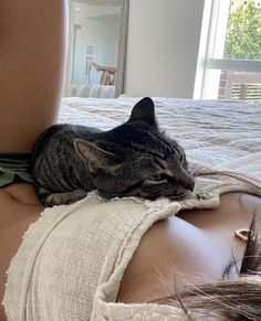 a cat laying on the back of a woman's stomach with her head down