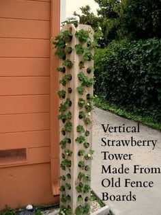 vertical strawberry tower made from old fence boards with plants growing on it and the words vertical strawberry tower made from old fence boards