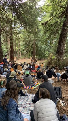 a group of people sitting on top of a forest floor next to tall pine trees