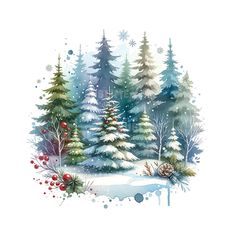 watercolor christmas trees with snow and berries