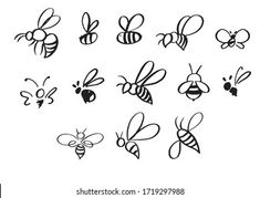 bees and honeybees drawn in black ink