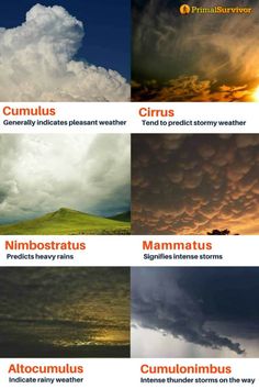 four different types of clouds in the sky with captioning below that says, cumulus