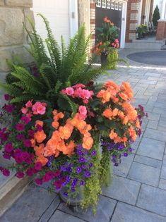 an assortment of colorful flowers in a pot on the side of a building with brick walkway