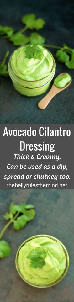 avocado cilantro dressing recipe on a plate with spoons and leaves