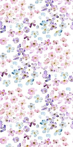 an image of many different flowers on a white background with blue, pink and purple colors