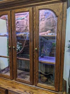 a large wooden cabinet with glass doors