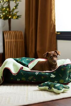 Dog Christmas Presents Gift Ideas Dogs Opening Christmas Presents, Christmas Dog Toys, Christmas Dog Accessories, Christmas Dog Bed, Christmas Pjs For Dogs