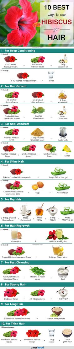 Hibiscus Hair Mask, Hibiscus Hair, Hair Mask Diy, Quick Hair Growth, Homemade Hair Treatments, Hair Care Remedies, Hair Mask For Growth, Hair Care Recipes, Hair Growing Tips