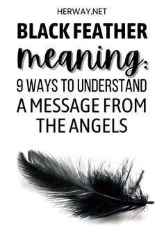 black feather meaning 9 ways to understand and message from the angels by herway net