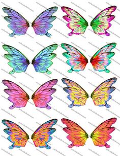 colorful butterflies with different colors and shapes on the wings, all in various positions to look like