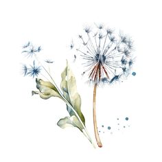 a watercolor painting of a dandelion with leaves and seeds blowing in the wind