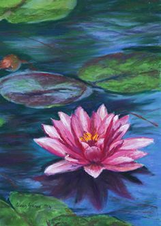 a painting of a pink waterlily in the pond