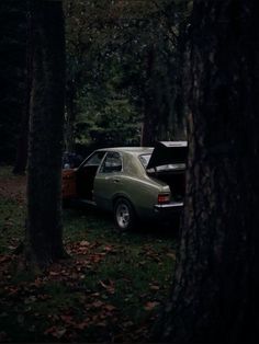 an old car is parked in the woods