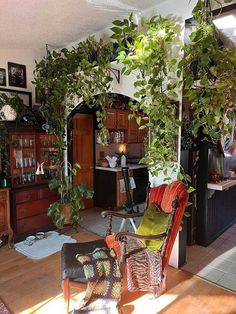 a living room filled with furniture and lots of plants