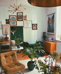 a living room filled with lots of plants and pictures hanging on the wall above it