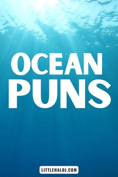 an ocean puns poster with the words, ocean puns on it's bottom