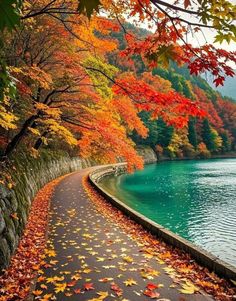 an autumn scene with leaves on the ground and trees in the background, along side a body of water