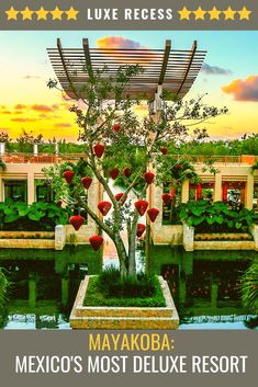 the poster for mexico's most deluxe resort is shown in front of a pond