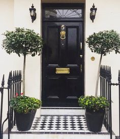 a black door with two potted plants on the front steps and a checkered tile floor