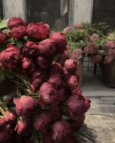 a bunch of flowers that are sitting on the ground