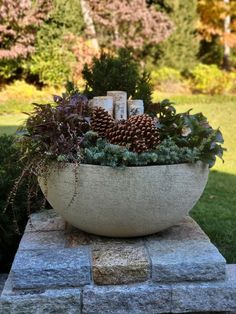 a planter filled with pine cones and other plants on top of a stone block