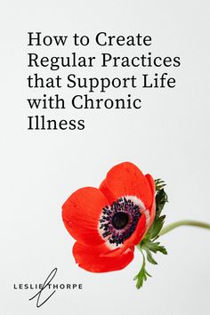 Living With Chronic Illness, Invisible Disease, Doing Your Best, Bad Words, Chronic Pain Relief, Spoonie Life, Holistic Health Coach, Health And Wellness Coach, Integrative Health