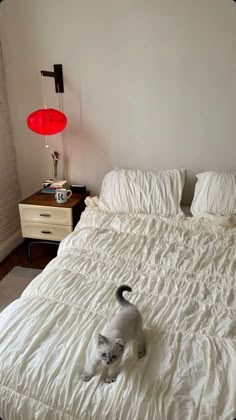 a cat standing on top of a white bed in a bedroom next to a lamp