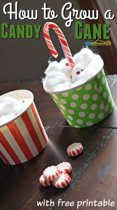 how to grow a candy cane with free printables