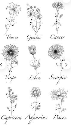 an image of zodiac signs and flowers on a white background with the names of each zodiac sign