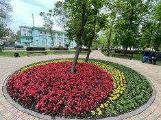 people are sitting on benches near a tree and flower bed in a park with brick pavers