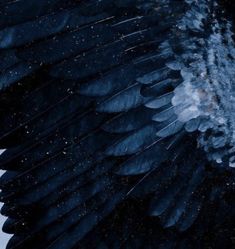 a large black bird flying through the air with it's wings spread out and stars in the background