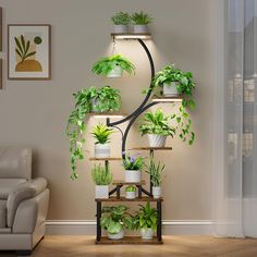 a living room filled with lots of potted plants on top of a wooden shelf