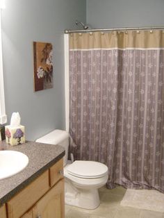 a bathroom with a sink, toilet and shower curtain in it's center area