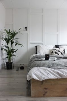 a bedroom with white walls and wood flooring has a plant in the corner next to the bed