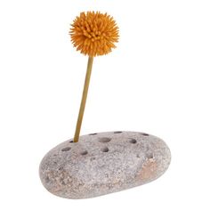 an orange flower sitting on top of a rock