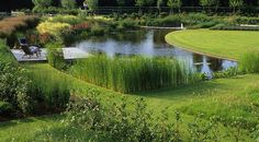 a pond surrounded by lush green grass and trees