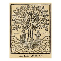 the tree of life is depicted in an old book, with many names and symbols on it