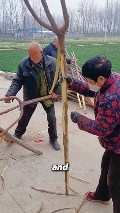 two men are working on a tree in the park, and one man is cutting branches