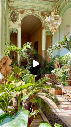 the inside of a house with lots of plants