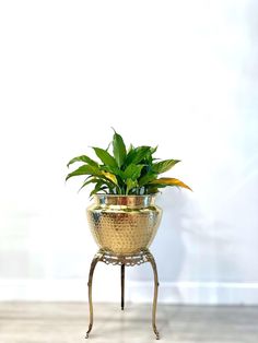 a potted plant sitting on top of a metal stand