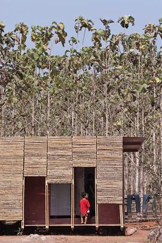 a man standing in the doorway of a bamboo hut surrounded by tall trees and dry grass