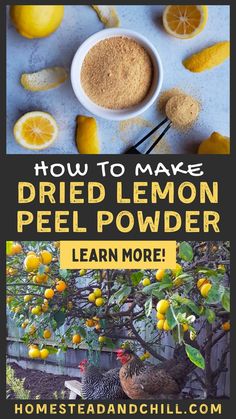 the recipe for how to make dried lemon peel powder is shown in front of an orange tree