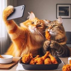 two cats sitting at a table with food in front of them