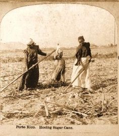 an old black and white photo of three people in a field, one holding a stick