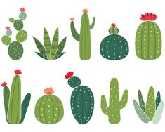 a collection of cactus cliparts with different shapes and sizes, including cacti